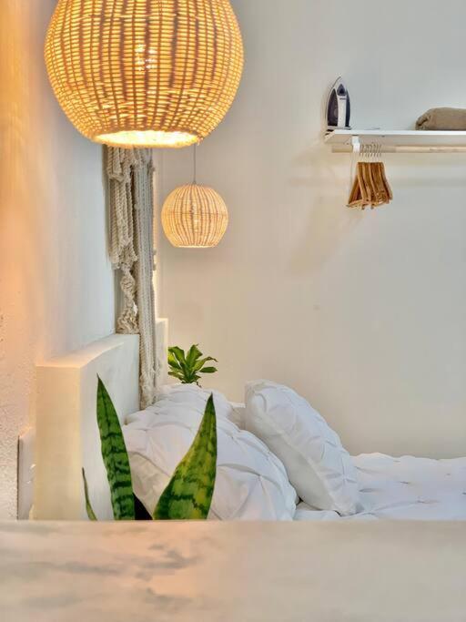 Apartmán Casa Anuiti Centrica Ubicacion. San José del Cabo Exteriér fotografie