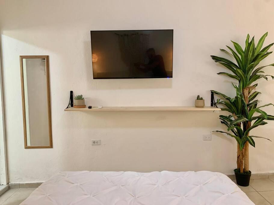 Apartmán Casa Anuiti Centrica Ubicacion. San José del Cabo Exteriér fotografie